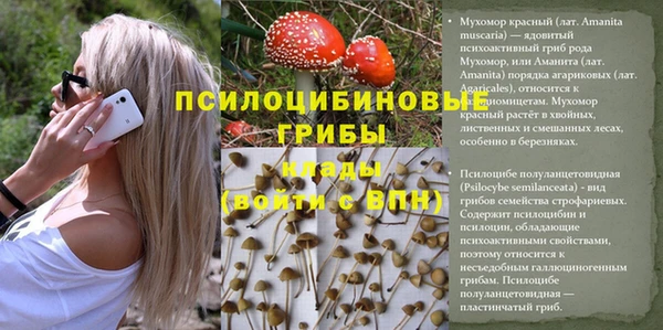 трава Алзамай