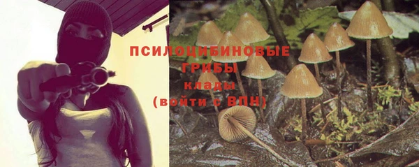 трава Алзамай