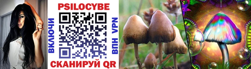 цены наркотик  Липки  Псилоцибиновые грибы MAGIC MUSHROOMS 